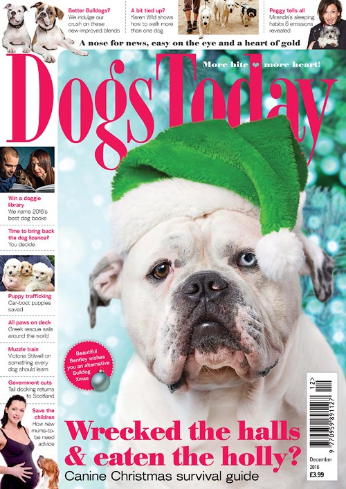 Dogs Today UK - December 2016