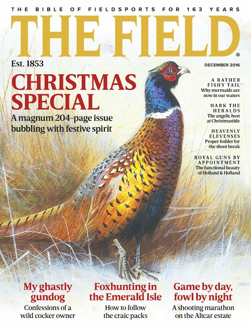 The Field - December 2016