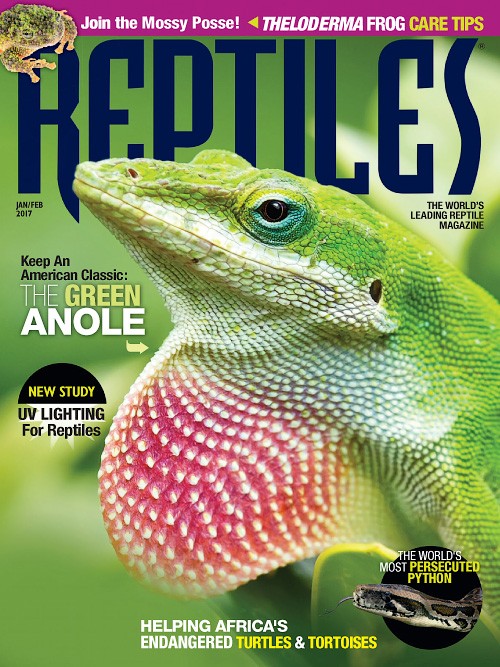 Reptiles - January/February 2017