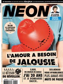 Neon France - Janvier 2017