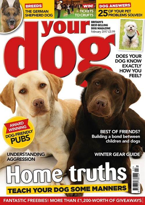 Your Dog - February 2017