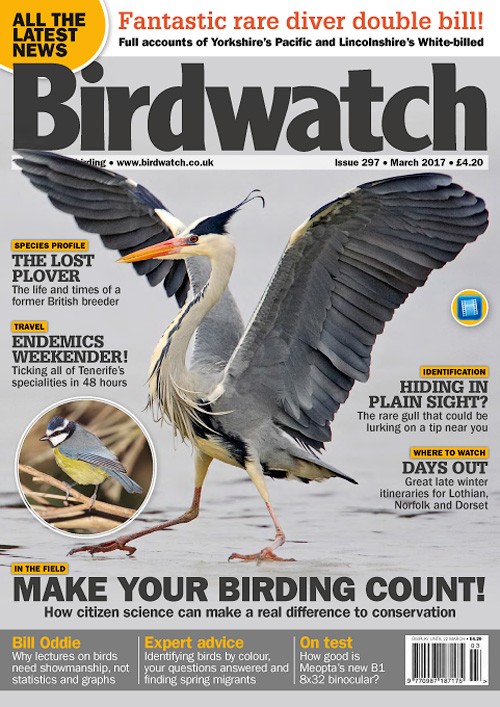 Birdwatch UK - March 2017