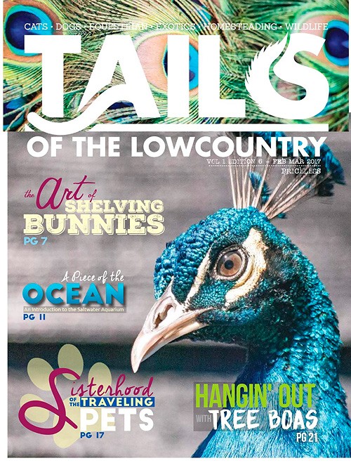 Tails Of The Lowcountry - February-March 2017