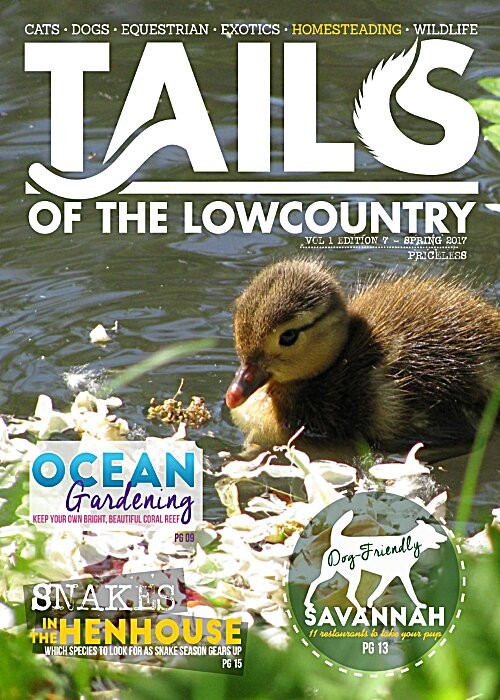 Tails Of The Lowcountry - April-May 2017