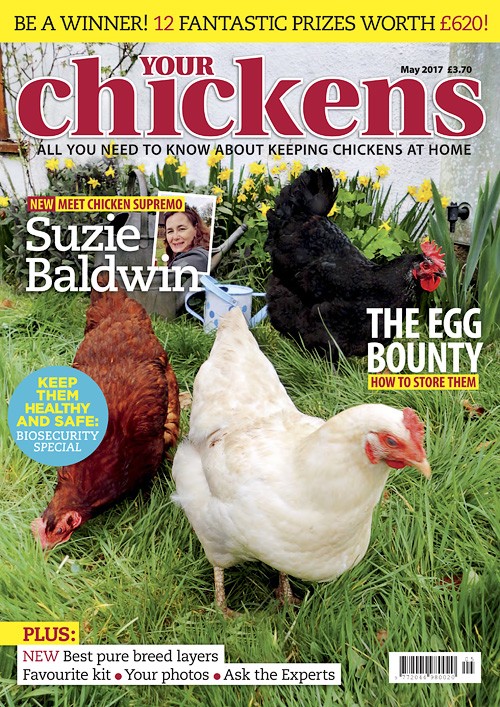 Your Chickens - May 2017