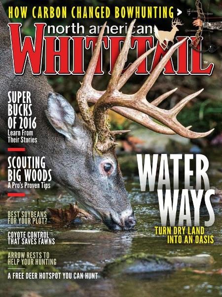 North American Whitetail - June 2017