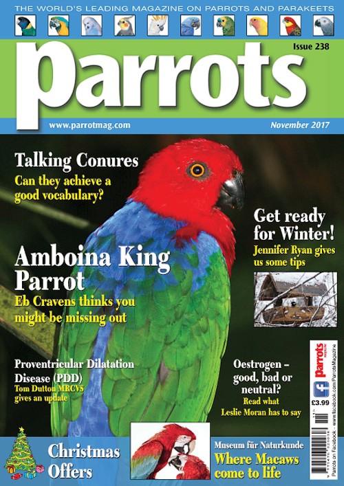 Parrots - November 2017