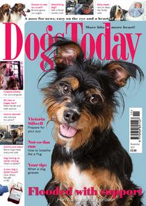 Dogs Today UK - November 2017