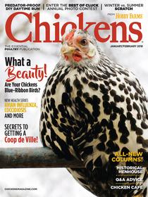 Chickens - January 2018