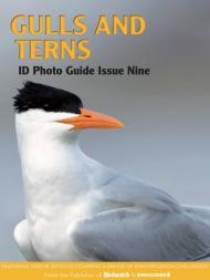 Bird ID Photo Guides - 05 June 2023