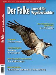 Der Falke Journal fur Vogelbeobachter - Juni 2023