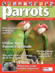 Parrots - April 2024