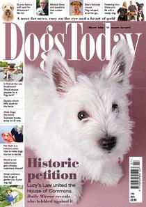 Dogs Today - July 2018