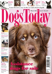 Dogs Today – December 2015