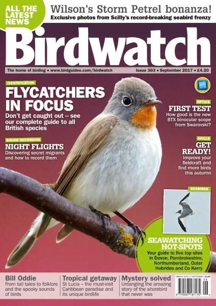 Birdwatch UK — September 2017